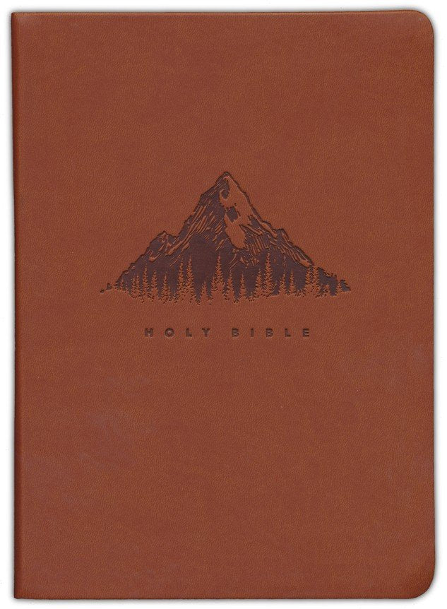 A brown leather-bound Holy Bible with an embossed mountain and pine tree design and the text 'HOLY BIBLE' on the front cover.