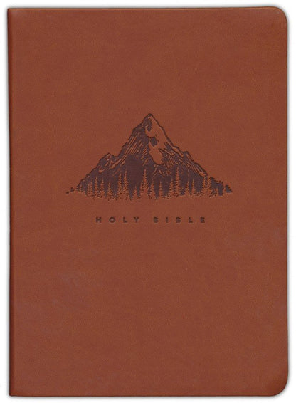 A brown leather-bound Holy Bible with an embossed mountain and pine tree design and the text 'HOLY BIBLE' on the front cover.