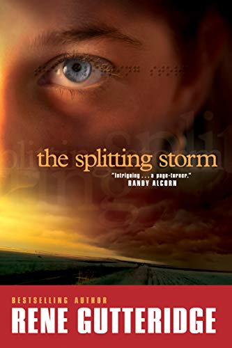 Splitting Storm by Rene Gutteridge image 0