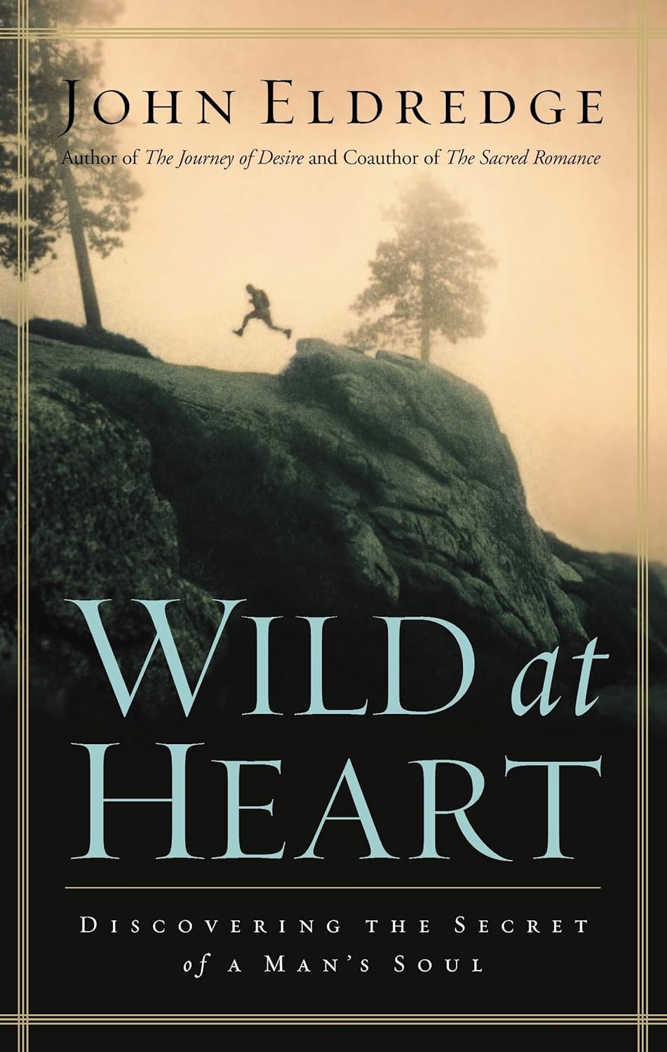 Wild at Heart by John Eldredge image 0