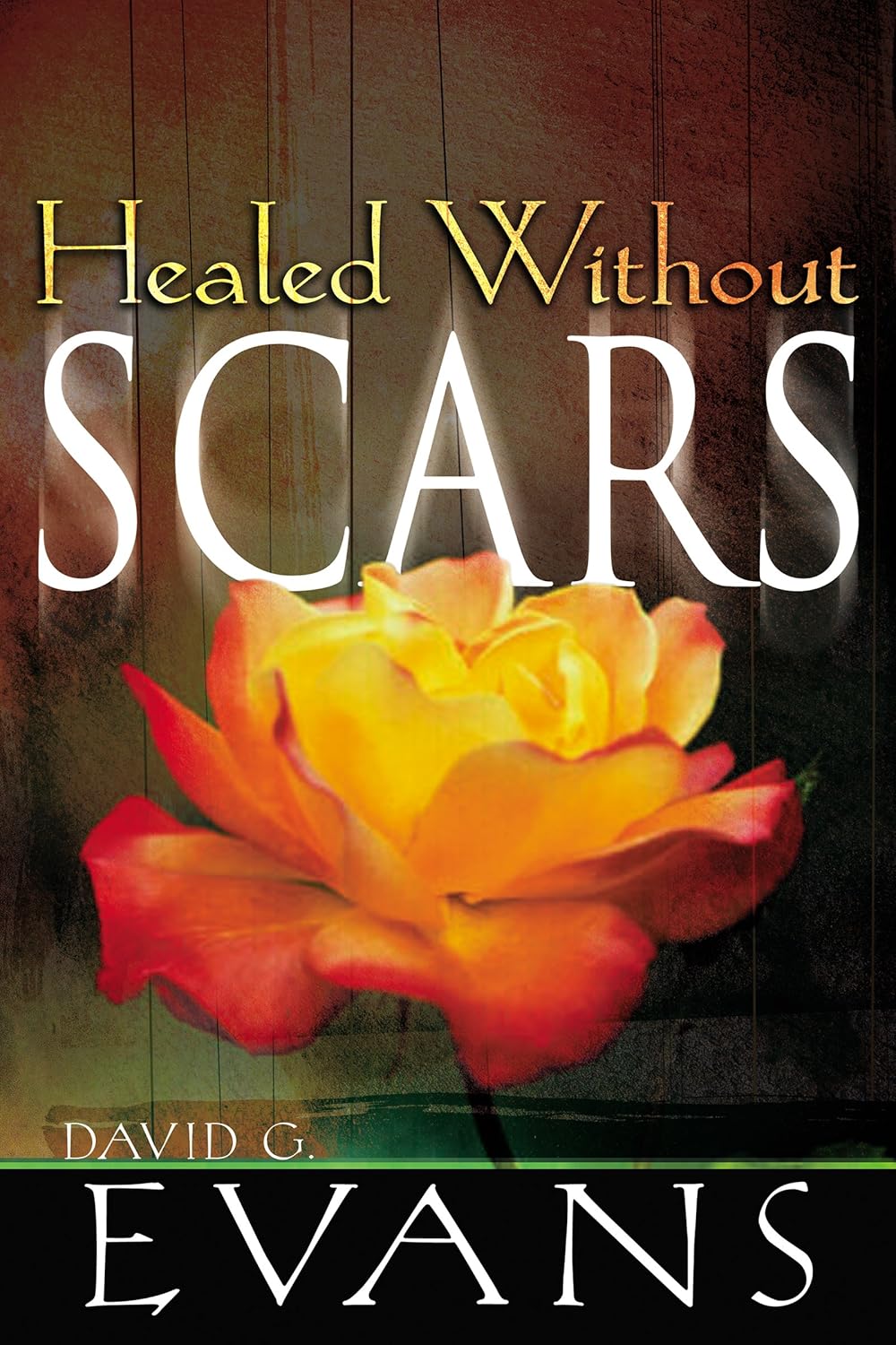 Healed Without Scars by David G. Evans image 0