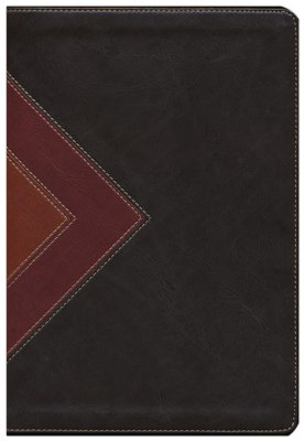 NLT Illustrated Study Bible--soft leather-look, brown/tan