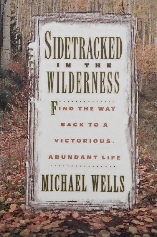Sidetracked in the Wilderness by Michael Wells image 0