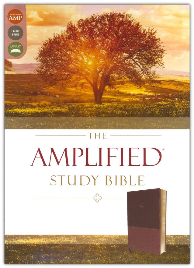 Amplified Study Bible, Large Print, Brown Imitation Leather