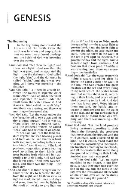 NIV Value Thinline Bible Large Print, Imitation Leather