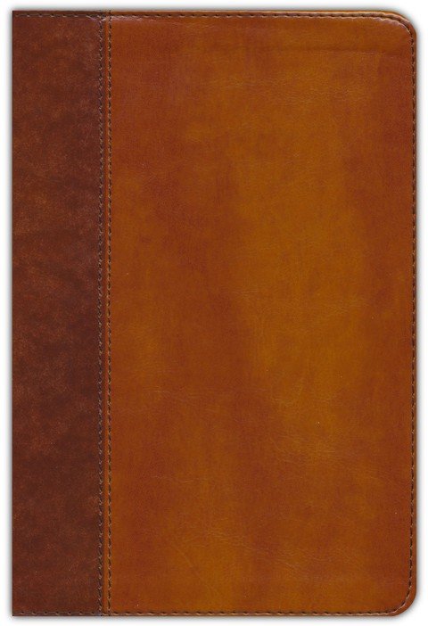 NIV Giant-Print Compact Bible, Comfort Print--soft leather-look, brown, red letter