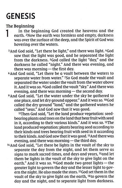 NIV Giant-Print Compact Bible, Comfort Print--soft leather-look, brown, red letter