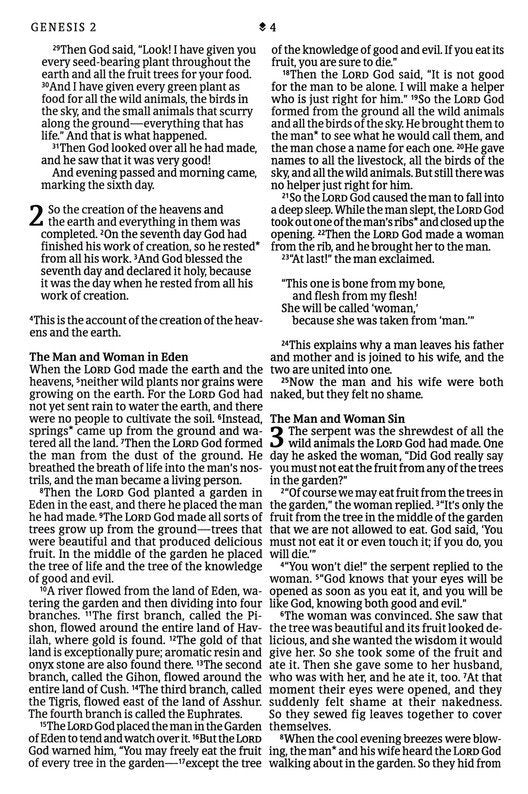 NLT Large Print, Premium Value Thinline Bible, Filament Enabled, Eucalyptus Teal