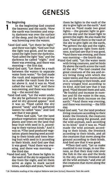 NIV Jesus Everywhere Outreach Bible, Larger Print, paperback