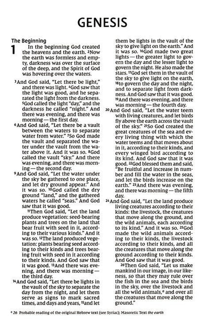 NIV Jesus Everywhere Outreach Bible, Larger Print, paperback