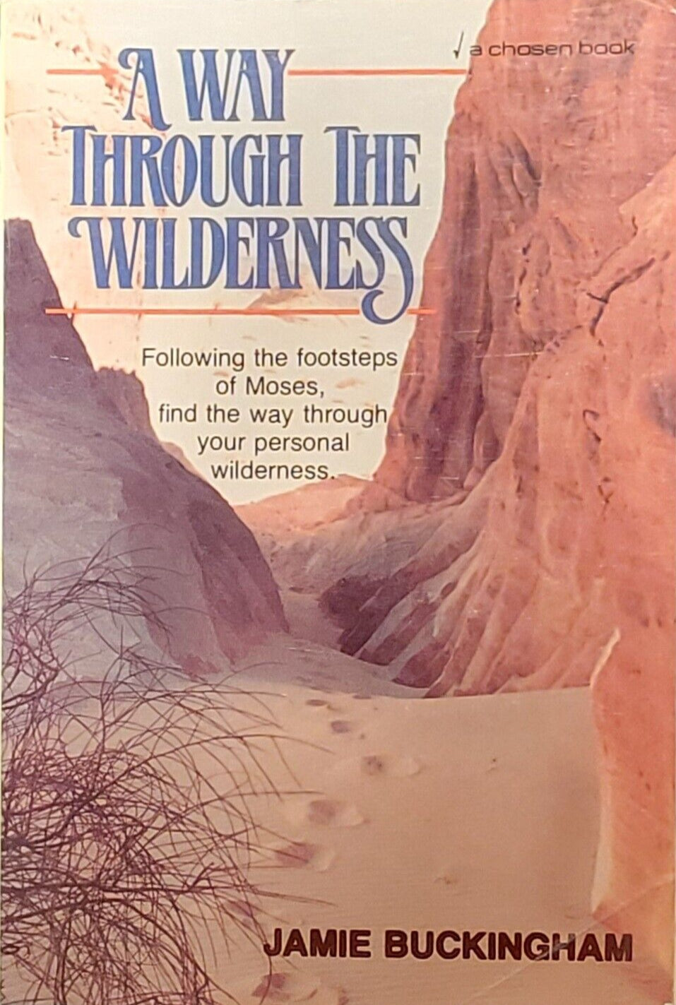 Way Through The Wilderness by Jamie Buckingham image 0