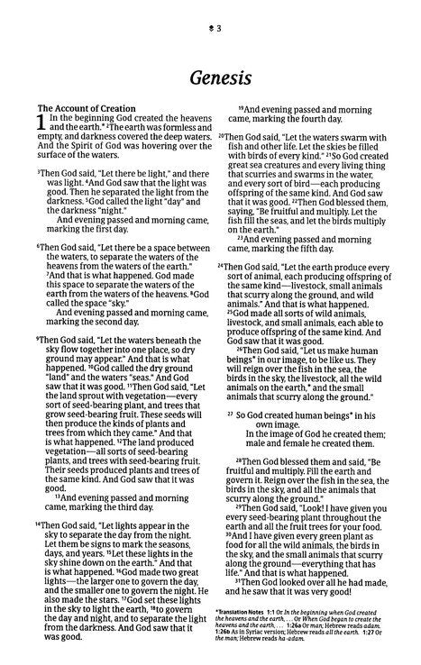 NLT Premium Value Thinline Bible, Filament-Enabled, soft leather-look, dusty pink vines