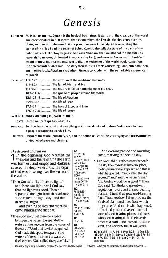 NLT Large Print Thinline Center-Column Reference Bible, Filament Enabled, soft leather-look, brown