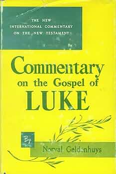 Luke (NICNT) by Norval Geldenhuys image 0
