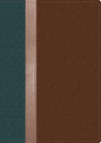 NLT Beyond Suffering Bible