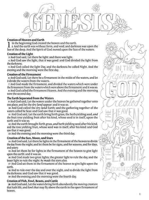 KJV My Creative Bible, soft leather-look, white floral