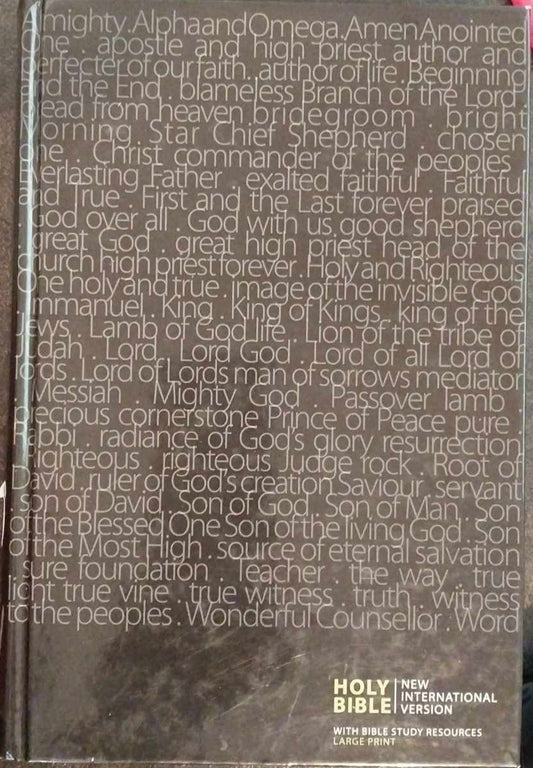 NIV Holy Bible, Large Print image 0
