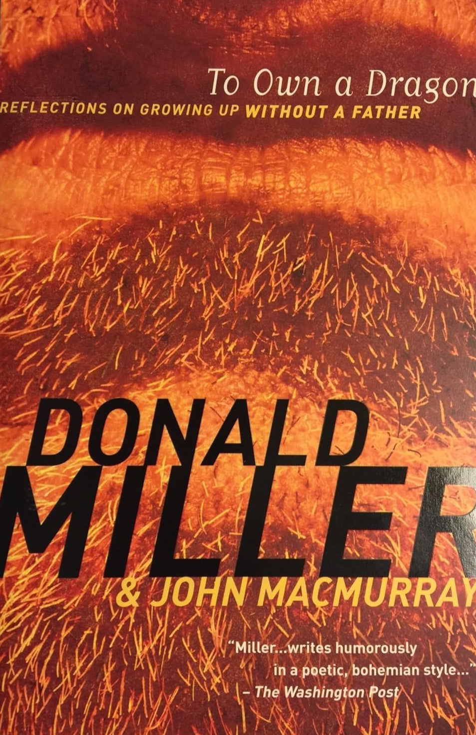 To Own a Dragon by Donald Miller & John MacMurray image 0