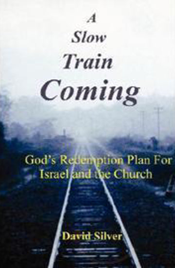 Slow Train Coming by David Silver image 0