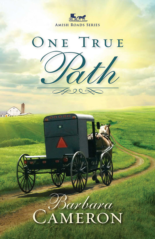 One True Path by Barbara Cameron image 0
