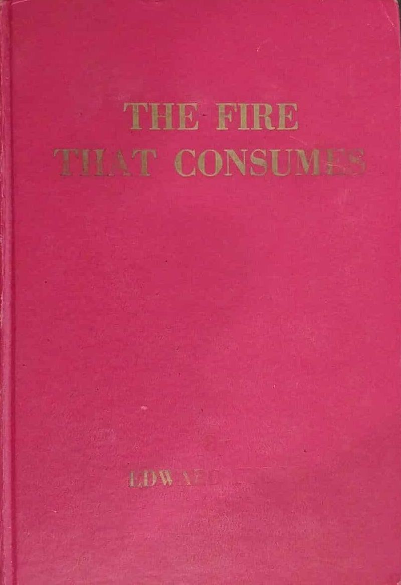Pink book titled 'The Fire That Consumes' with gold text on a dark background