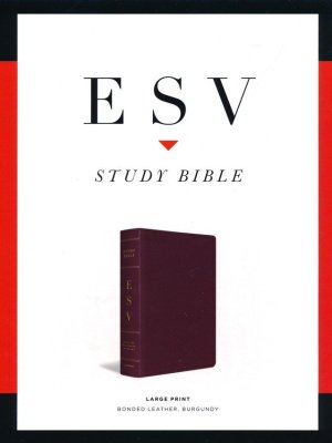 ESV Large-Print Study Bible--bonded leather, burgundy