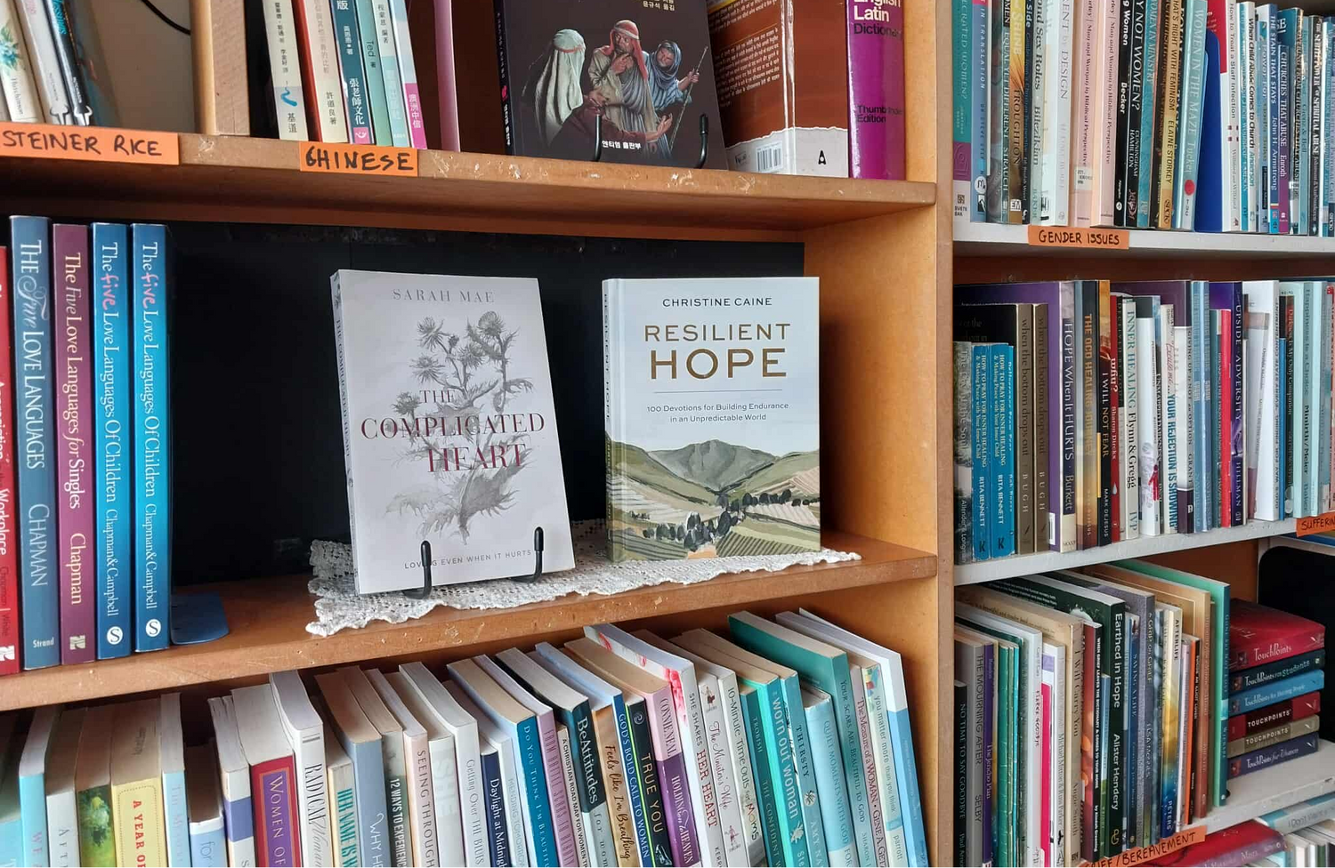 Bookshelf filled with books of various sizes and colors