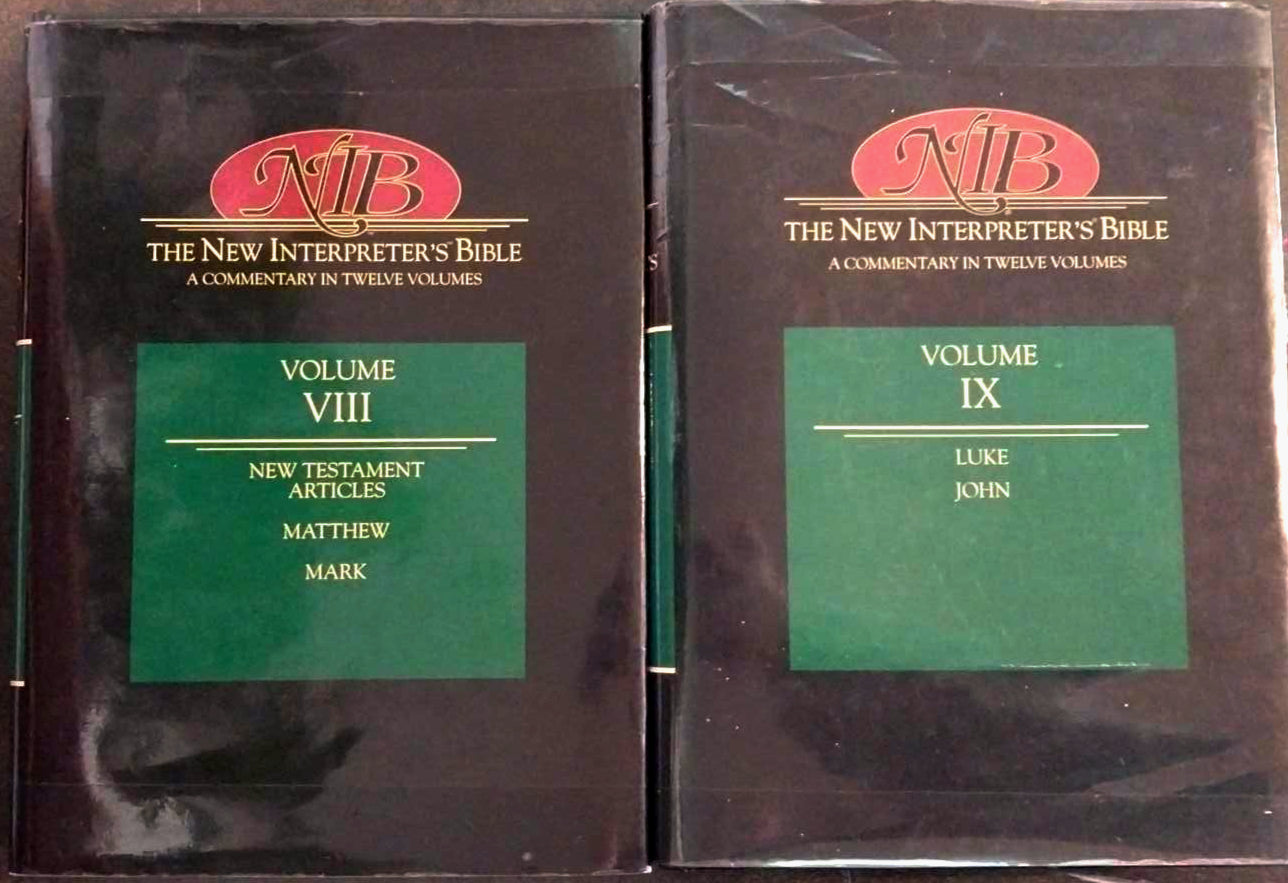 New Interpreter's Bible Commentary on the Gospels (2 Volumes) image 0