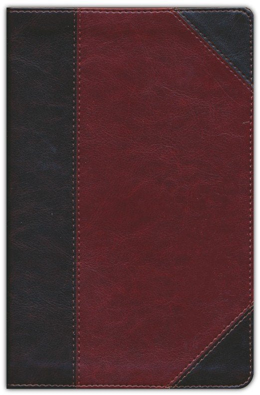 ESV Reader's Bible, soft leather-look, brown & cordovan