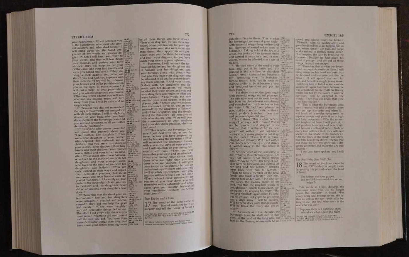 NIV Holy Bible, Wide Margin Reference Edition image 1