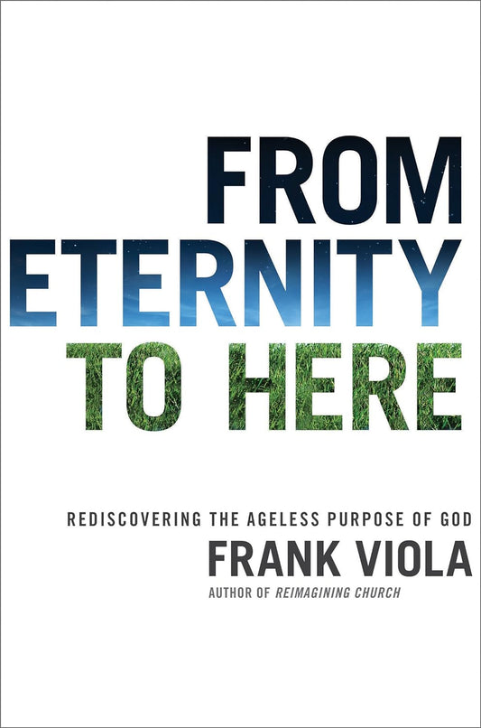 From Eternity to Here by Frank Viola image 0