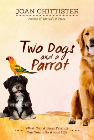 Two Dogs and a Parrot by Joan Chittister