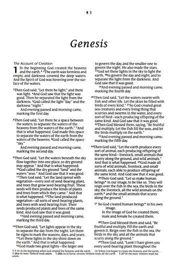 NLT Premium Value Compact Bible, Black Mountainscape LeatherLike, Filament-Enabled