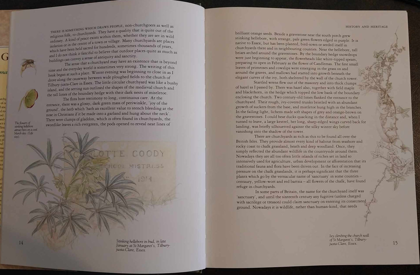 God's Acre: Flowers and Animals of the Parish Churchyard by Francesca Greenoak image 3