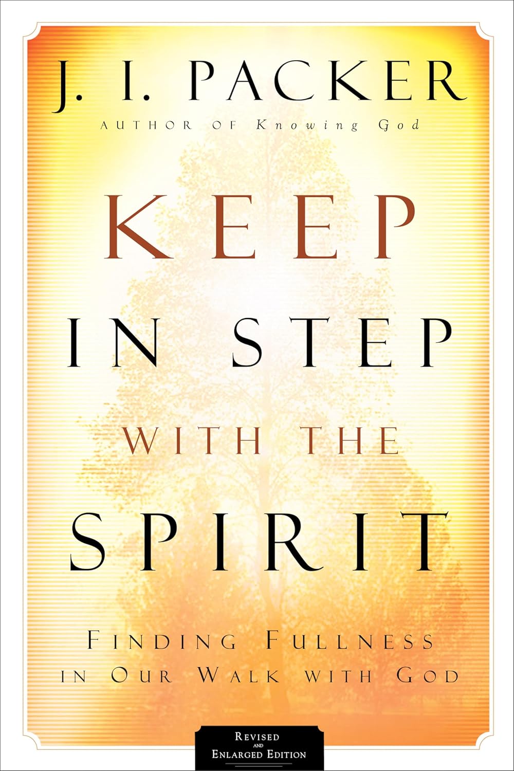 Keep In Step With the Spirit (Second Edition) by J.I. Packer image 0