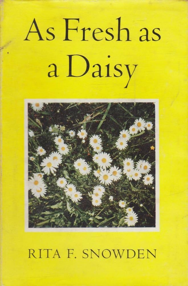 As Fresh as a Daisy by Rita Snowden image 0