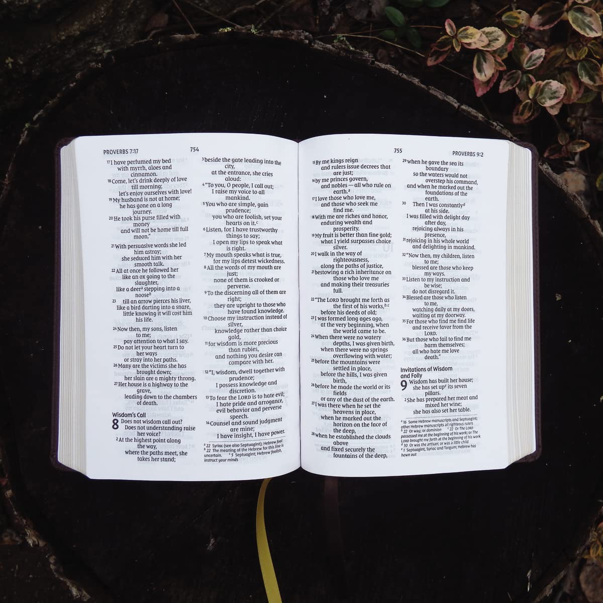 NIV Larger Print Compact Bible, Leathersoft Brown