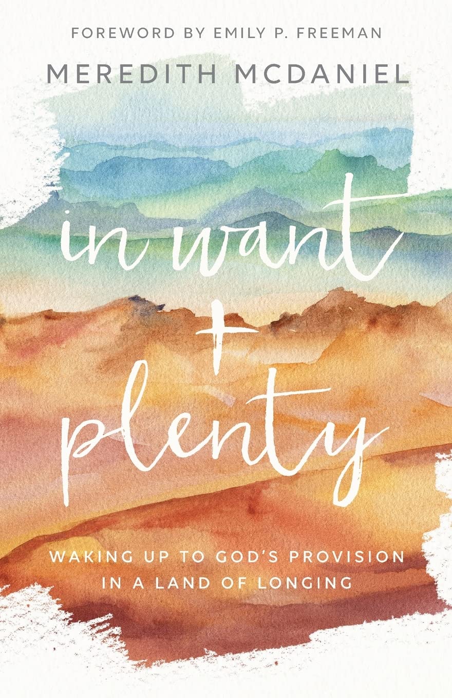 In Want + Plenty by Meredith McDaniel