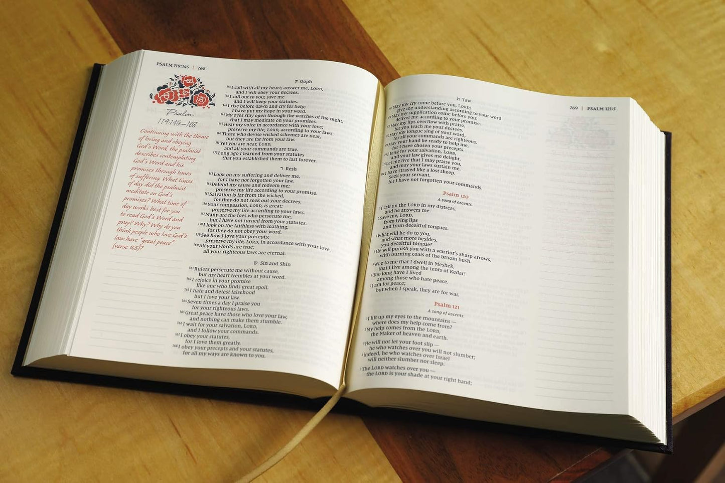 NIV Journal the Word Bible for Women