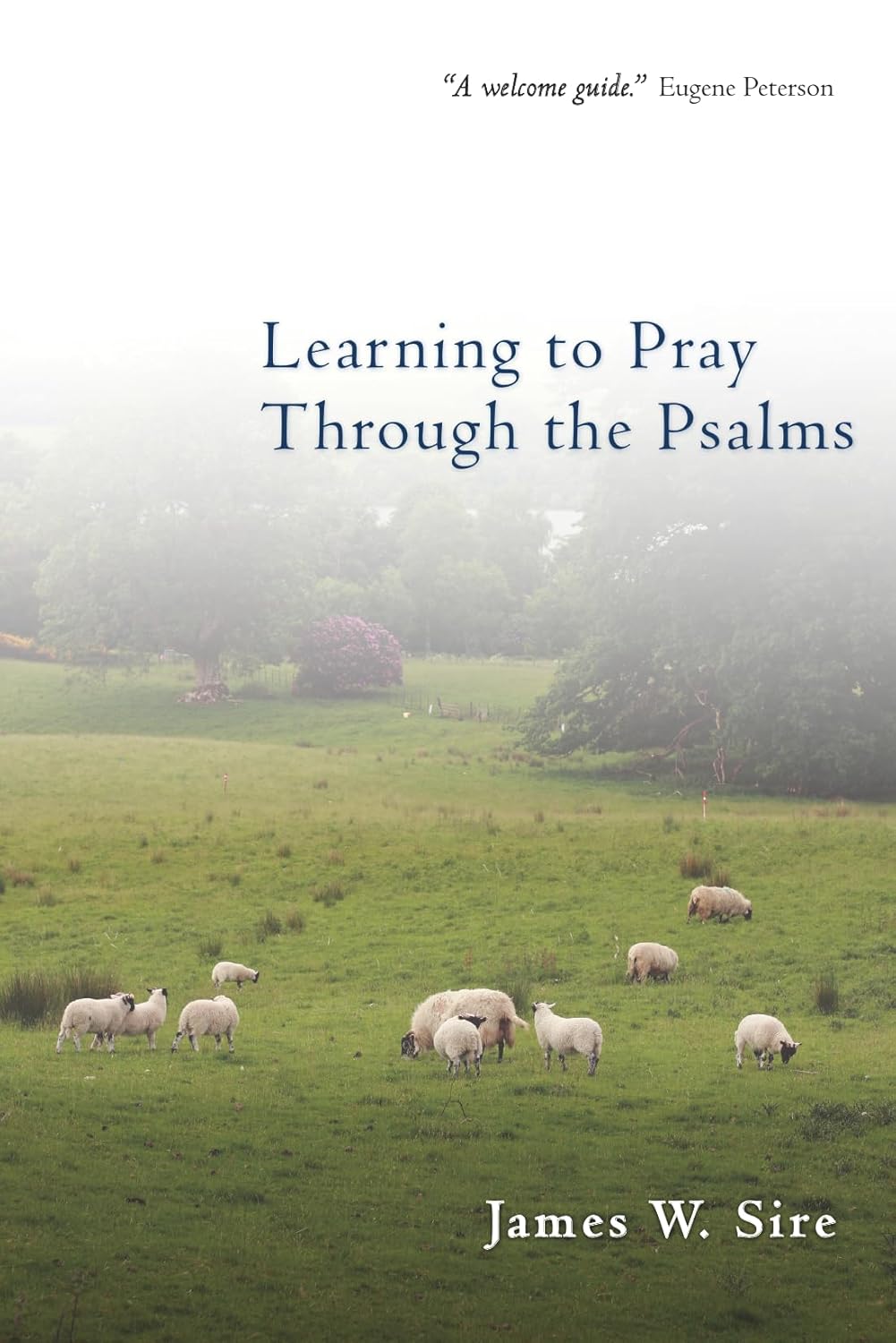 Learning to Pray Through the Psalms by James W. Sire