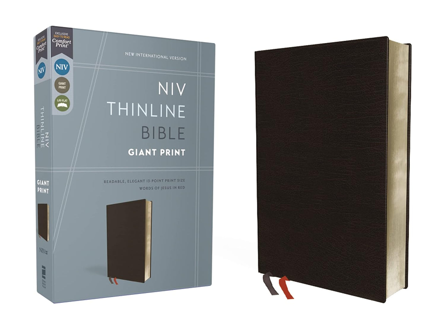 NIV Thinline Bible Red Letter Edition, Giant Print