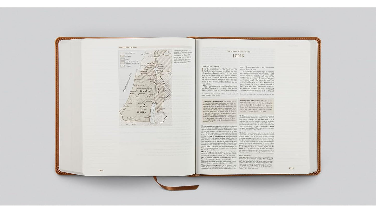 ESV Journaling Study Bible, TruTone Brown Softcover