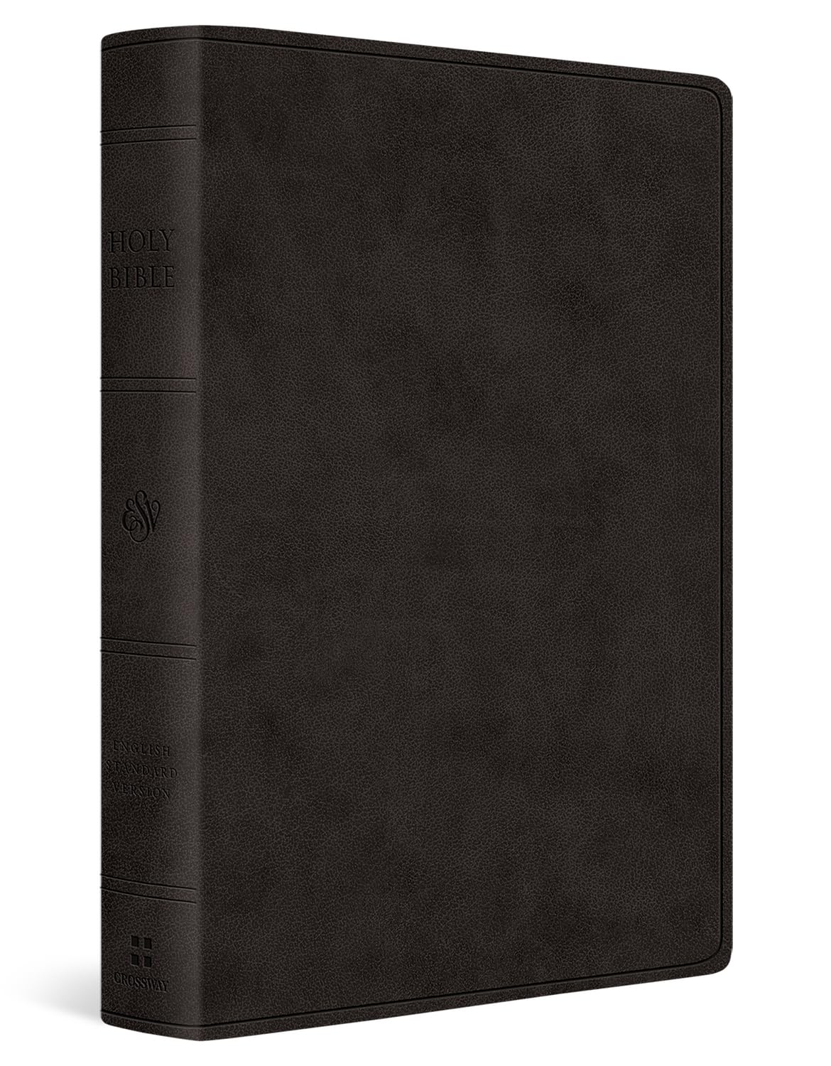 ESV Giant Print Value Personal Size Bible--soft leather-look, black