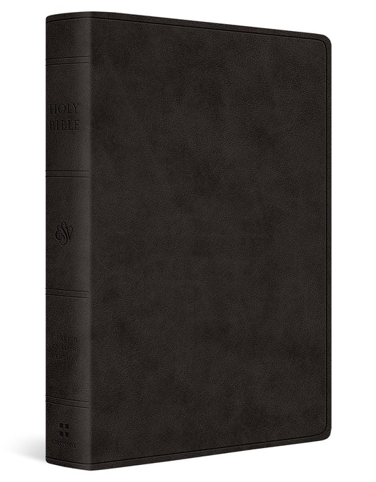 ESV Giant Print Value Personal Size Bible--soft leather-look, black