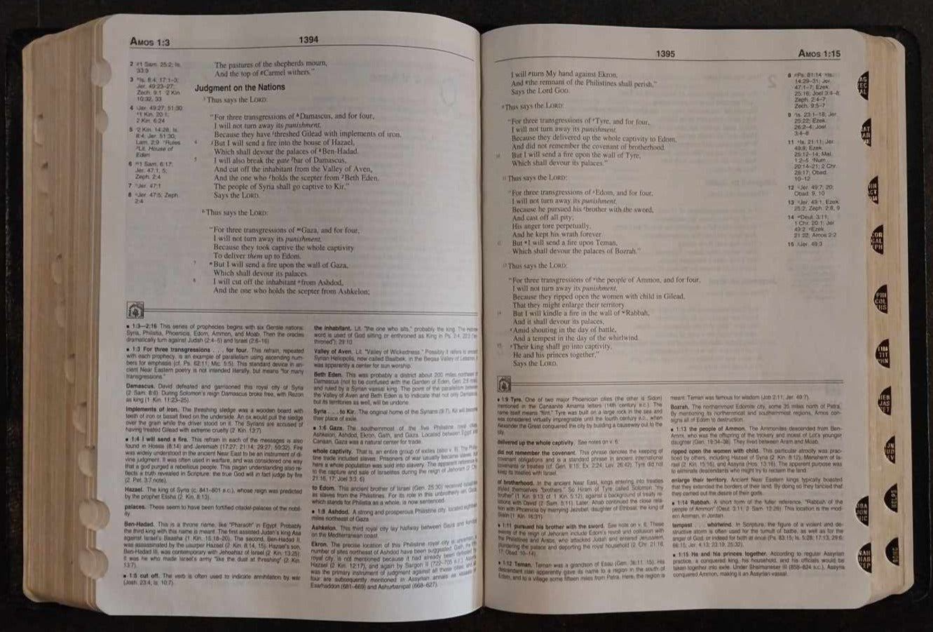 NKJV New Geneva Study Bible image 1