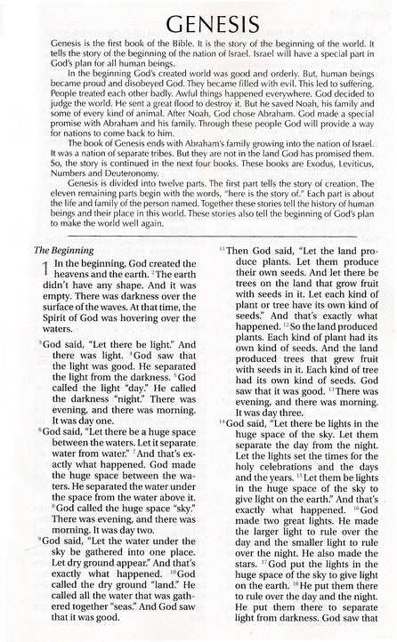 NIrV Children's Holy Bible, Softcover