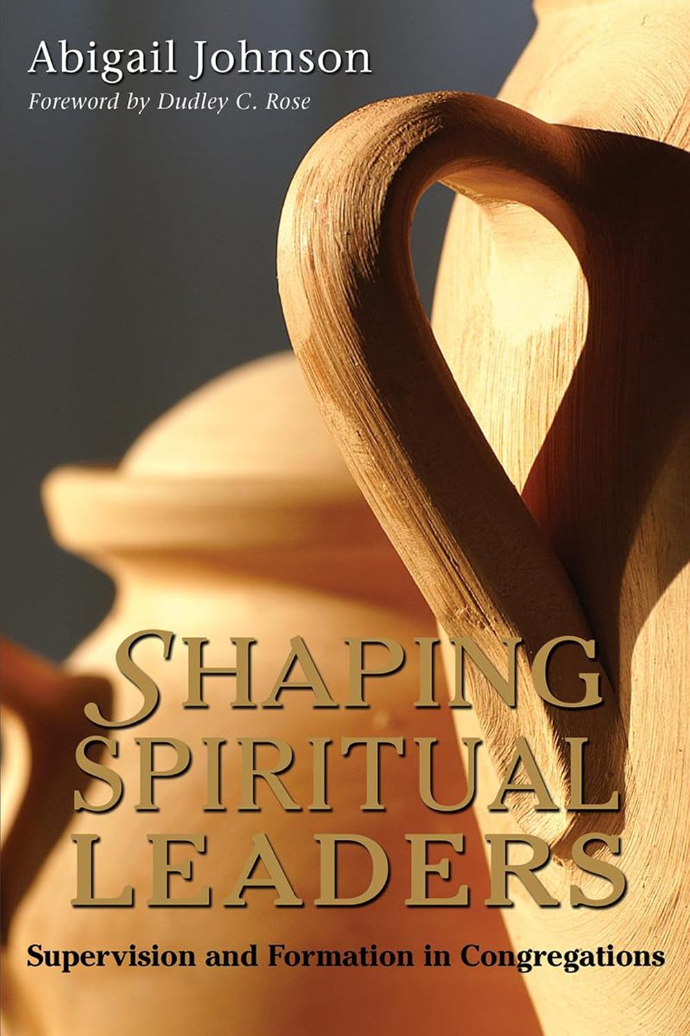 Shaping Spiritual Leaders by Abigail Johnson image 0