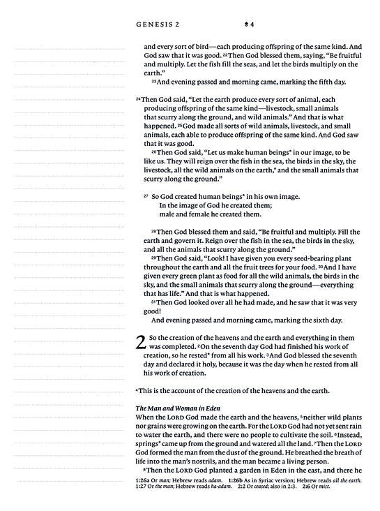 NLT Wide Margin Journaling Bible, Filament Enabled image 1