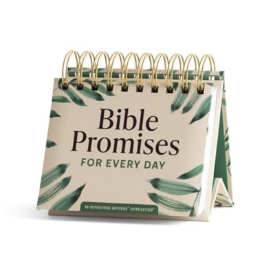 Bible Promises for Every Day Day Brightener
