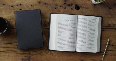 ESV Giant Print Value Personal Size Bible--soft leather-look, black